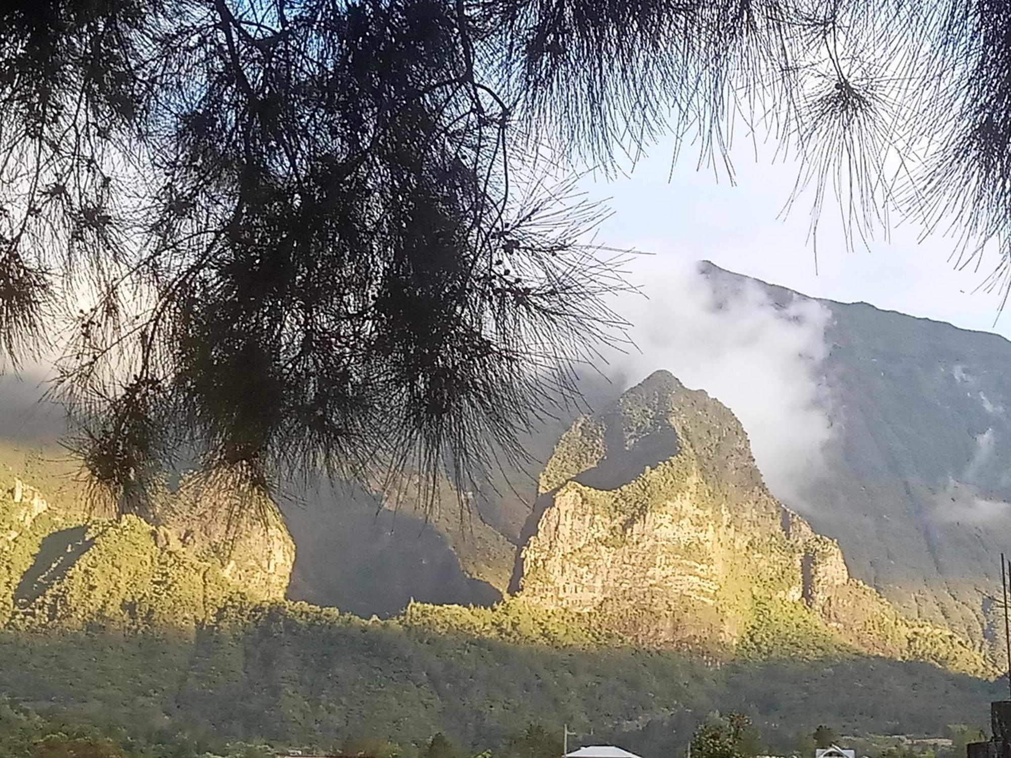 Au Coeur du Paradis Cilaos Extérieur photo